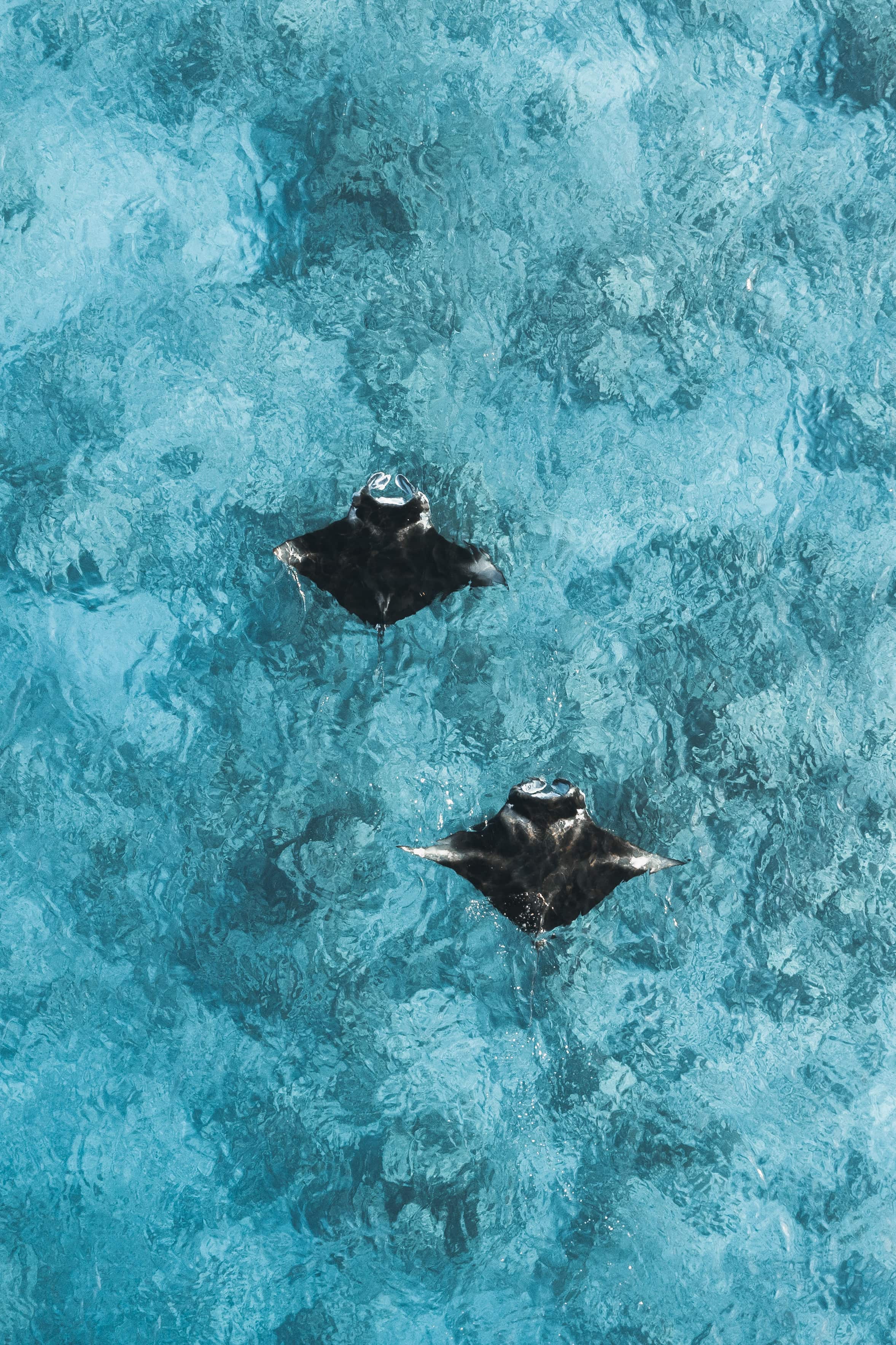 Ayada, Maldives
